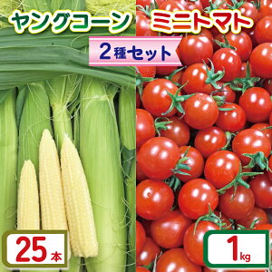 yӂ邳Ɣ[Łz OR[ 25{ ~jg}g (2) Zbg  1kg i킨܂ Ƃ܂ g}g ~jg}g ݂ɂƂ܂ n Ԍ v` v`g}g  T_ ٓ Yn VN 