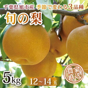 yӂ邳Ɣ[Łz y s\ z  5kg K L Â 12 ` 14 Ȃ Yn { ʓ x  ʕ t[c ① ӂ邳Ɣ[ Yn  t t s sY ܂g