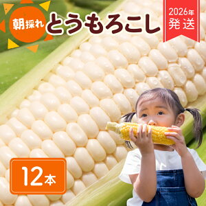 �y�ӂ邳�Ɣ[�Łz 2026�N ��s�\�� ���Ƃ����낱�� 12�{ �z���C�g�R�[�� �z���C�g �R�[�� �X�C�[�g�R�[�� �� �� �V�N �W���[�V�[ �{ ��� �₳�� �Ė�� ���̂� �Ƃ����� �o�[�x�L���[ ���ʌ�