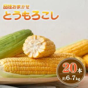 yӂ邳Ɣ[Łz y 2026 Ns\zƂ낱 20{ 6`7kg i ܂ ʌ Ԍ S[hbV  W[V[ Â VLVL F gERV R[ 