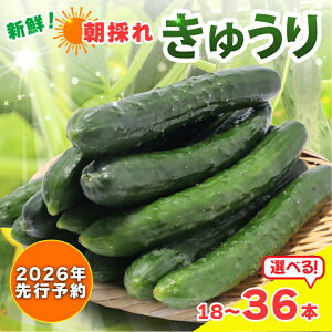 yӂ邳Ɣ[Łzy 2026N s\ z VN ̂ꂫイ Iׂ 18{ / 36{ イ ӉZ  Ė T_  Е Ђ ʂЂ |̕ 1{Ђ Ђ ₵イ 