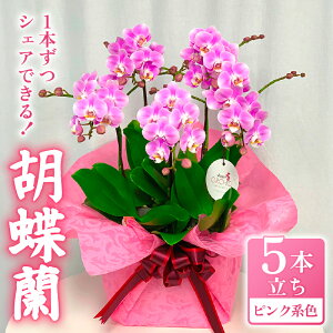 yӂ邳Ɣ[Łz 蕪łӒ ~fB[Ӓ sNn 7 5{ bsOt 񂹐A   flower A VFAI[Lbh ƒp ӏ CeA  LO j 