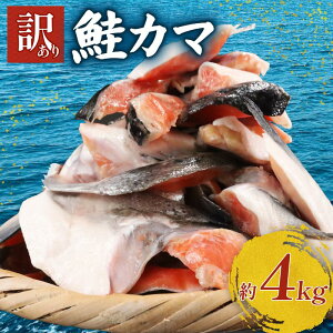 yӂ邳Ɣ[Łz 󂠂  4kg  J}    TP VP T[  VP J}  Ⓚ lC  CN CY T[ KiO s  `Y 