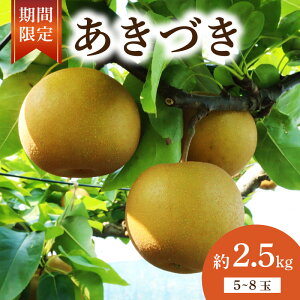 yӂ邳Ɣ[Łz y ʌ z  Â  2.5kg 5ʁ`8 Ȃ { a tY Y 2025N 9` ʕ t[c  H ʏ` Â Â x _ {̗ H Yn VN 
