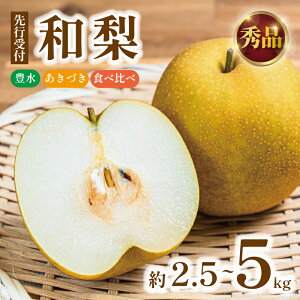 �y�ӂ邳�Ɣ[�Łz �s �I�ׂ� �e�� �i�� �t �� �a�� ��t���Y �� 2.5kg 5kg �G�i �L�� �����Â� �V�� �H�� �G�� �� �H�ה�� �l�ߍ��킹 �Ȃ� �ʕ� �������� �t���[�c 2026 ��s�\�� 2026�N ���Y ��t 