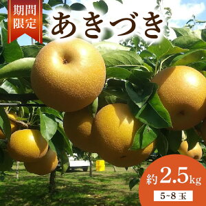 yӂ邳Ɣ[Łz y ʌ z  Â  2.5kg 5ʁ`8 Ȃ { a tY Y 2025N 9` ʕ t[c  H ʏ` Â Â x _ {̗ H Yn VN 
