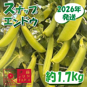 �y�ӂ邳�Ɣ[�Łz �y��s�\��z �X�i�b�v�G���h�E �� 1.7kg ����ǂ� ���Ԍ��� ���ʌ��� ��� �₳�� �� �܂� �T���_ �������� ��t�� ���s �ɓ�SUN FARM