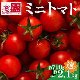 【ふるさと納税】 ミニトマト 約 2kg 以上 / 約 720g 選べる容量トマト プチトマト 期間限定 数量限定 甘い 野菜 やさい サラダ フルーツ 旬 濃厚 送料無料 小分け 千葉県 旭市 伊藤SUN FARM