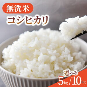 yӂ邳Ɣ[Łz  RVqJ Iׂ 5kg 10kg ߘa7NY V    2025 7NY    ނ܂  R kome ͂ CX Ђ ƒp ~ h ٓ Yn