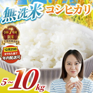 yӂ邳Ɣ[Łz  Iׂ 5kg 10kg N RVqJ ߘa7NY V    2025 7NY     R kome ͂ CX Ђ ƒp ~ h ٓ Yn