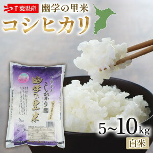 yӂ邳Ɣ[Łz ߘa7NY  Hw̗ RVqJ Iׂ 5kg 10kg 20kg 65kg 610kg  Y tYRVqJ    ăReXgEۑ AN܎