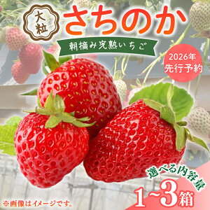 yӂ邳Ɣ[Łz  2026N s\ 嗱 9`18 Iׂ 1`3 2026 N 2~3  ̂ Y C`S  Xgx[ At^[ۏ VN E { ① t[c ʕ  fU