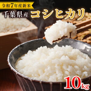 yӂ邳Ɣ[Łz ߘa7NY  Ђ 10kg RVqJ V R     V10kg 7NY tY ~ h Yn  t s ЂĂ