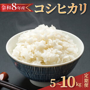 �y�ӂ邳�Ɣ[�Łz �y 2026�N8������ �z �ߘa8�N�Y �V�� �� �R�V�q�J�� �I�ׂ� 5kg / 10kg / ����� �Œ茎 �S3�� ���� ���� �V�� 2026 8�N�Y ���� ���� ���� �R�� ���C�X ���� ���͂� ������ �����Ђ�