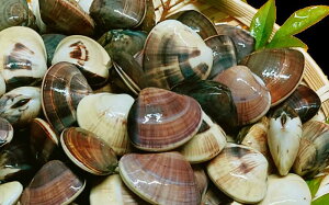 yӂ邳Ɣ[Łz VR ͂܂[i  Iׂ 1.5kg/2.5kg/3.5kg  ͂܂   ① \㗢Y  L  CN L L o`  X`  O^ \㗢