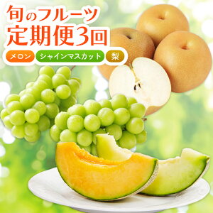 yӂ邳Ɣ[Łz yʌz 2026N t[c 3 st t[c ʕ  VC}XJbg Ԃǂ   ԓ  VC }XJbg  Ȃ lߍ킹 Z