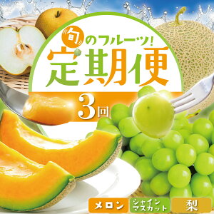 yӂ邳Ɣ[Łz yʌz 2026N t[c 3 st t[c ʕ  VC}XJbg Ԃǂ   ԓ  VC }XJbg  Ȃ lߍ킹 Z