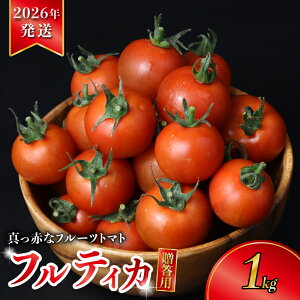 �y�ӂ邳�Ɣ[�Łz �y 2026�N ��s�\�� �z �g�}�g �����p �� 1kg �t���[�c�g�}�g ���Y �Ƃ܂� �Z�� ���n �{ �ӂ�[�Ƃ܂� ���x �����x ��� �₳�� ���̂� �Y�n���� �t���e�B�J �l�C �������� 