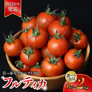 yӂ邳Ɣ[Łz y 2026N s\ z g}g Iׂ  1kg /  2kg t[cg}g Y Ƃ܂ Z n { ӂ[Ƃ܂ x x  ₳ ̂ Yn teBJ lC 