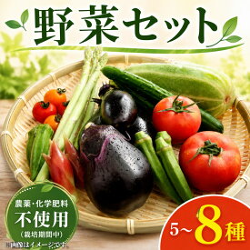 【ふるさと納税】 【先行予約】 訳あり 野菜セット 5～8種 おまかせ 詰め合わせ セット 野菜 夏野菜 冬野菜 ミニトマト なす オクラ ピーマン パプリカ キャベツ ミニトマト レタス 訳有 旬 新鮮 やさい サラダ お弁当 送料無料 産地直送 千葉県 旭市 珠樹自然農園