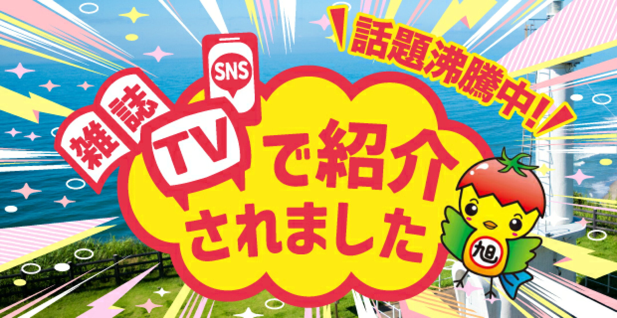 メディア紹介特集バナー