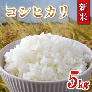 yӂ邳Ɣ[Łz ߘa7NY V  RVqJ 5kg   2025 7NY    R kome CX ~ h ٓ Yn  Y tY ӂ邳Ɣ[ t s _