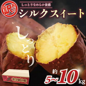 �y�ӂ邳�Ɣ[�Łz �󂠂� �V���N�X�C�[�g �I�ׂ� �� 5kg 10kg ���܂��� �y�t�� �T�c�}�C�� �� ���� ���� �� �킯���� �s���� �Ă��� �Ă����� ������ �������� �X�C�[�c �ƒ�p ��� �Y�n��