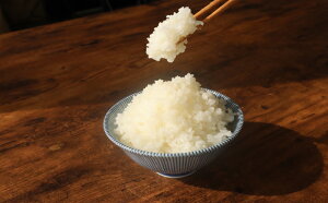 yӂ邳Ɣ[Łz y ߘa7NY z V  RVqJ Iׂ 5kg / 10kg ŒZ7cƓȓ   V 7NY    ͂  Ђ ꓙ Xs[h ~ 