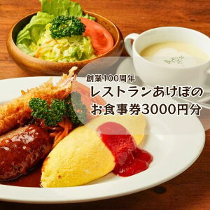 n100NIKu̘V܃Xgڂ̂Ŏg3000~H
