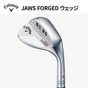 yӂ邳Ɣ[Łz2023Nf LEFC JAWS FORGED EFbW N[_X St StNu X|[c NS.PRO MODUS3 Tour115 JAWS W[Y tH[Wh