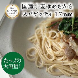【ふるさと納税】 パスタ 国産 スパゲッティ 国産小麦 ゆめちから 大容量 保存食 乾麺 1.7mm 24袋 セット もちもち 食感 ザ・クラフトパスタ ニューオークボ 日本製 美味しい おいしい お店の味 常温 人気 おすすめ 老舗 クラフトパスタ 長期保存 レビューキャンペーン