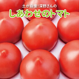【ふるさと納税】おすすめ しあわせのトマト箱詰 詰め合わせ セット