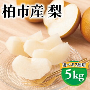 yӂ邳Ɣ[Łzys\zy2026N8z  L K t[c Iׂ 2 5kg ʕ Ȃ V { Y Yn tY sY   VN fU[g  \