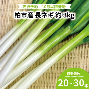 yӂ邳Ɣ[Łz lM lM 3kg  { Y tY sY ˂ ˂  Â VN   Yn
