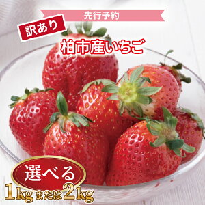 yӂ邳Ɣ[Łzys\zy2026N1Jnz 󂠂  lߍ킹 Zbg ʕ t[c Iׂ 1kg 2kg  C`S  { Y Yn tY sY   