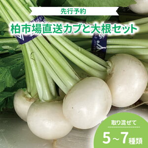 yӂ邳Ɣ[Łzys\zy2025N1Jnz  卪 Zbg lߍ킹  Ju _CR { Y Yn tY sY  VN   V`[ ϕ X[v T_ 