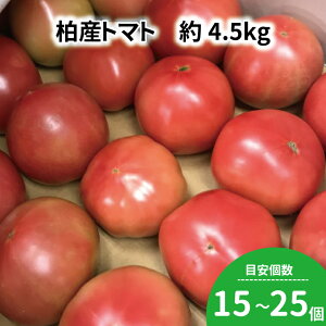 yӂ邳Ɣ[Łz g}g 4.5kg Zbg      { Y tY sY g}g\[X T_ v[g 蕨    XX  Yn