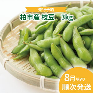 yӂ邳Ɣ[Łzys\zy2026N8z } 3kg Zbg  Y tY sY \  VN ܂ ٓ v[g 蕨 ̓ ̓  Ė ܂ 