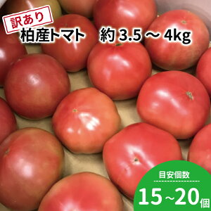 yӂ邳Ɣ[Łz 󂠂 g}g   Y { tY sY 3.5kg~4kg 15~20  VN  Yn Hi T_ g}gW[X W[X s[ \[X y[Xg