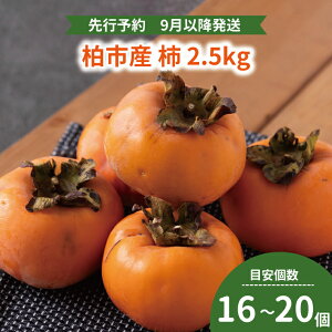yӂ邳Ɣ[Łz `  t[c ʕ 2.5kg q ` Ȃ r ܂ q a xL` 킠 r JL { Y Yn tY sY    fU[g 