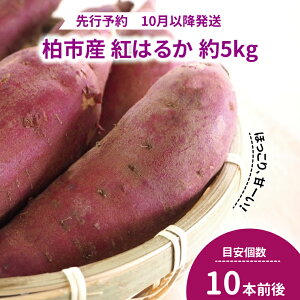 yӂ邳Ɣ[Łz ܂ g͂邩 5kg  Y { tY sY  Â ܈ ܃C  Tc}C XC[g|eg َq H VN   Yn