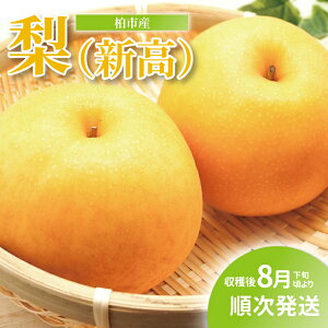 yӂ邳Ɣ[Łzys\zy2025N8{z  V 5kg t[c ʕ Ȃ V { Y Yn tY sY   VN fU[g  \