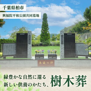 yӂ邳Ɣ[Łz@ a n ؑ 1l  ؑ [ iǗ @@hs 悶܂ `Pbg