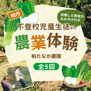 �y�ӂ邳�Ɣ[�Łz �̌� �`�P�b�g �s�o�Z�� �s�o�Z���k ���ꏊ �w�� ��`�� ��؎��n �{�̖�� ���n�̌� �H�� ���n�̌� �_�Ƒ̌� �̌� ���n ��� �q�� �e�q �_�앨