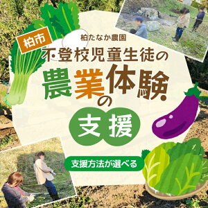 �y�ӂ邳�Ɣ[�Łz �̌� �`�P�b�g �x�� �_���X�^�b�t ����� �s�o�Z�� �s�o�Z���k ���ꏊ �w�� ��`�� ��؎��n �{�̖�� ���n�̌� �H�� ���n�̌� �_�Ƒ̌� �̌� ���n ��� �q�� �e�q �_�앨