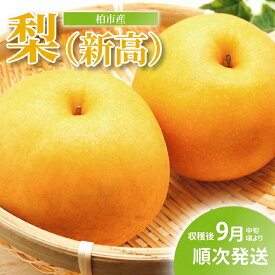 【ふるさと納税】【オンライン決済限定】柏市産 梨（新高） 5kg 〈先行予約 2026年8月下旬順次発送〉 フルーツ 果物 なし 旬 国産 産地直送 千葉県産 新鮮 デザート 【配達不可：沖縄、離島】　お届け：2026年10月1日～10月31日まで