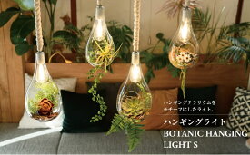 【ふるさと納税】ハンギングライト BOTANIC HANGING LIGHT S 〈 吊り下げ ライト ランプ 照明 LED インテリア ハンギングライト おしゃれ 植物 グリーン カフェ 北欧 ナチュラル レトロ ヴィンテージ ボタニカル〉
