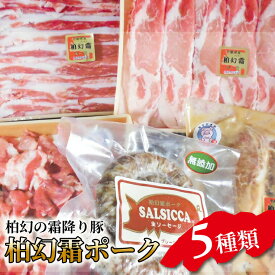 【ふるさと納税】【柏幻霜ポーク】バラエティお肉セット 豚肉 5種類 詰め合わせ セット 柏幻霜ポーク ( 切り落し ロース バラ サルシッチャ ロース みそ漬 ) 国産 千葉県産 柏市産 産地直送 バーベキュー BBQ キャンプ