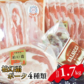 【ふるさと納税】【柏幻霜ポーク】満腹お肉セット 豚肉 4種類 詰め合わせ セット 柏幻霜ポーク 霜降り ロース ブロック バラ しゃぶしゃぶ 肩ロース サルシッチャ 国産 千葉県産 柏市産 産地直送 バーベキュー BBQ キャンプ