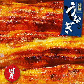 【ふるさと納税】国産 うなぎ 蒲焼 新鮮 美味しい レトルト 鰻 ウナギ 2尾 3尾 選べる セット 自家製タレ 山椒付き 炭火 蒸し 関東風 おすすめ 人気 おいしい 柔らかい 土用 丑の日 ギフト プレゼント 贈り物 贈答 誕生日 父の日 母の日 お歳暮 御歳暮 ご褒美 グルメ